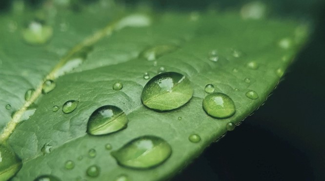 COLORYOURTEAMS VOOR GROEI NAAR GREEN!